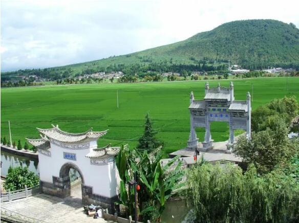 在最美的季節(jié)遇見你 雅居樂“上山下?！斌w驗行